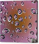 Pink Droplets Canvas Print