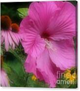 Pink Hibiscus And Friends Canvas Print