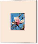 Pink Magnolia Photo Square Canvas Print