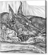 Pleasant Dreams - Doberman Pinscher Dog Art Print Canvas Print