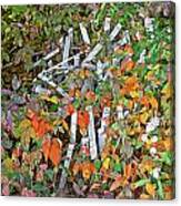 Poison Ivy And Pickets Canvas Print