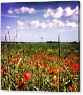 #poppies #sunshine #yorkshire #clouds Canvas Print