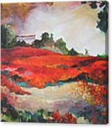 Poppy Field In La Dehesa Canvas Print