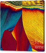 Potassium Nitrate Canvas Print