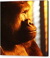 Primate Reflecting Canvas Print