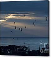 Promise Of A New Day Canvas Print