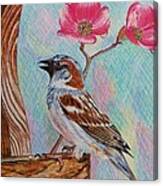 Ptg   Sparrow With Pink Dogwood In The Rain Canvas Print