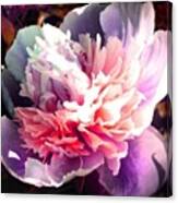Puffy Pink Pompom Peony	#android Canvas Print