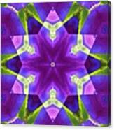 #purple And Green #star #fractal #art Canvas Print