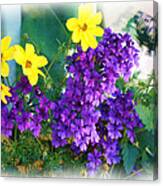 Purple And Yellow Delight Canvas Print