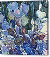 Purple Opuntia Canvas Print