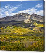 Quaking Aspen Forest And East Beckwith Canvas Print