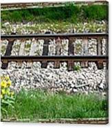 Railway Tracks And Wild Sunflowers Canvas Print