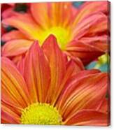 Red And Yellow Flowers Canvas Print