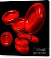 Red Blood Cells 2 Canvas Print