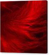 Red Feathers - 1 Canvas Print