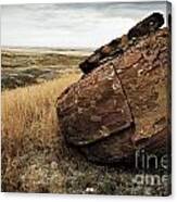 Red Rock I Canvas Print