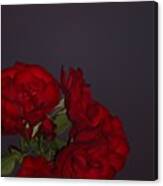 Red Rose In The Dark Sky Canvas Print