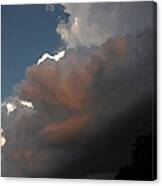 Reflective Clouds Canvas Print