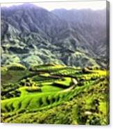#rice #paddies #sapa #vietnam #landscape Canvas Print