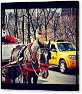 Riding The Roads Of Central Park Canvas Print
