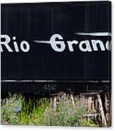 Rio Grande Canvas Print