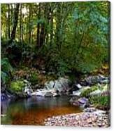 River In Cawdor Big Wood Canvas Print