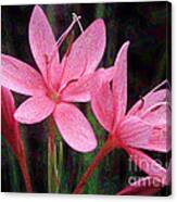 River Lily Canvas Print