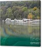 River With Trees Canvas Print