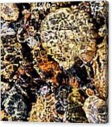 Riverbed Canvas Print