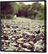 #road #stone #stones #dirt #tree #trees Canvas Print