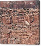 Rock Formation Below Hopi Point Canvas Print