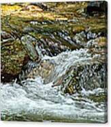 Rocky River Canvas Print