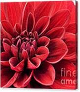 Ruby Red Canvas Print