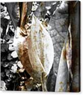 Rusting Nature Canvas Print