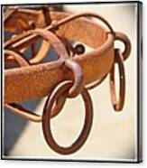 Rusty Horse Tethering Rings Canvas Print
