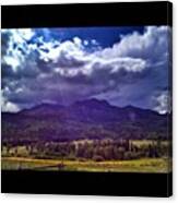 Saddle Mountain Coming Down Wolf Creek Canvas Print