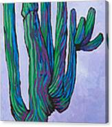 Saguaro 16 Canvas Print