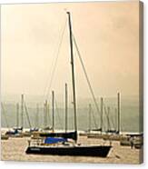 Sailboats Moored In The Harbor Canvas Print