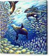 Sailfish Plunders Baitball Iii - Dolphin Fish Seals And Whales Canvas Print