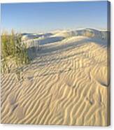 Sand Dunes Monahans Sandhills State Canvas Print