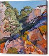 Sandstone Canyon At Torrey Pines Canvas Print