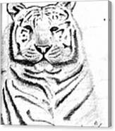 Save Tigers Canvas Print