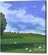 Scottish Pasture Canvas Print