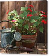 Shady Impatiens Canvas Print