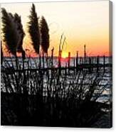 Shoreline Serenity Canvas Print