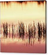Silhouette Of Grass Against Reflection Canvas Print