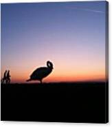 #silhouette #silhouettes #giant #swan Canvas Print