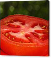 Sliced Tomato In The Garden Canvas Print