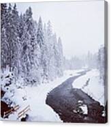 Snow Landscape - Trees And River Canvas Print